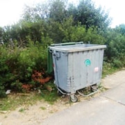 The bin where the stray dog was found