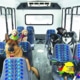 The Puppy Bus Alaska with passengers