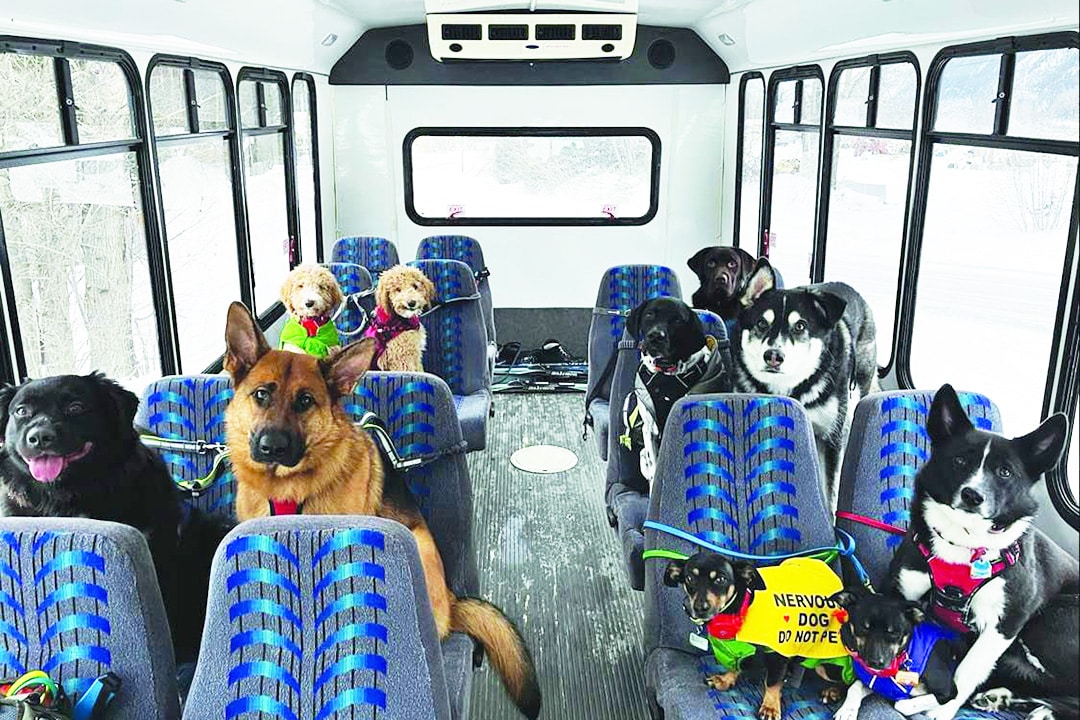 The Puppy Bus Alaska with passengers